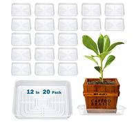 Lot de 20 soucoupes carrées pour pots de fleurs - 30,5 cm - Soucoupes transparentes pour extérieur et intérieur - Soucoupes pour pot de fleurs - Soucoupes pour récupérer l'eau - 50,8 cm, 30,5 cm