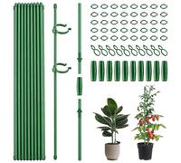 Lot de 20 supports pour plantes - 30 cm - Avec clips - Tubes d'extension - Réglable - Accessoire de jardin - Pour tomates, concombres, plantes d'intérieur