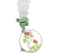 Lot de 20 tuteurs pour plantes grimpantes, tomates, concombres, framboises ou fleurs - Pour plantes d'intérieur 180 cm de long