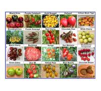 Lot de 20 variétés anciennes de tomates - graines reproductibles,sans OGM et non hybrides - qualité supérieure