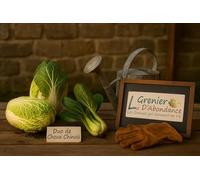 Lot de 200 graines à semer - Le Grenier d'Abondance - Duo de Choux Chinois - 2 sachets individuels
