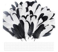 Lot de 200 Plumes Artisanales 10 à 17 cm Plume Decoration Plumes Loisirs Creatifs Plume d'oie Naturelle Plumese Noires et Blanche pour Attrape Rêves Mariages Bricolage Costumes