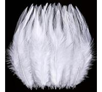 Lot de 200 plumes de coq blanches de 12,7 à 17,8 cm pour loisirs créatifs, boucles d'oreilles, attrape-rêves et décorations de fête de Noël (blanc)