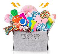 Lot de 21 jouets à mâcher pour chiot - Durable - Jouet à mâcher et couineur - En coton naturel et non toxique - Pour chiens de petite et moyenne taille