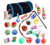 Lot de 22 jouets interactifs pour chat et chaton d'intérieur - Pliable - Tunnel à plumes et boule à ressort