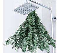 Lot de 22 tiges d'eucalyptus séchées pour Douche - Grandes tiges d'eucalyptus préservées de 43,2 cm, Feuilles d'eucalyptus fraîches pour Suspendre la Douche, Arrangement de Fleurs artificielles,