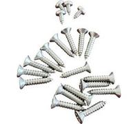 Hayward - Lot de 22 vis pour Skimmer de Piscine Powerline - PWX13