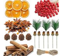 Lot de 225 fournitures de fabrication de couronnes de Noël, tranches d'orange séchées, bâtons de cannelle et anis étoilé, baies artificielles, aiguilles de pin vert artificielles pour couronne de
