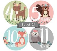 Lot de 24 autocollants mensuels pour bébé | Woodland Animal Baby Milestone | Nouveau-né fille | Stickers Mois floraux pour bébé fille | Stickers bébé fille | Nouveau-né mensuel jalon | Lot de 24