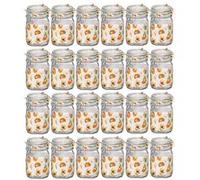 Lot de 24 bocaux hermétiques à bouchon mécanique, bocal pot de conservation, jarre en verre, capacité 75 iamètre 10.6 x Hauteur 13.6 cm -JUANIO- Transparent G