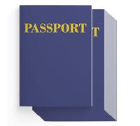 Lot de 24 carnets de passeport pour enfants, 9,8 x 13,8 cm, couverture souple bleue et pages vierges, carnet de passeport pour activités en classe, cadeaux de fête sur le thème des voyages et