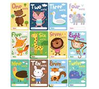 Lot de 24 cartes d'anniversaire pour nouveau-né de 0 à 12 mois, photos de la première année, cartes photo, souvenirs pour garder les enfants en pleine croissance, cartes de bébé neutres