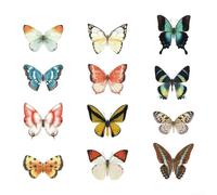 Lot de 24 décorations en verre en forme de papillon pour l'intérieur et les portes pour éviter les accidents d'oiseaux