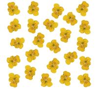 Lot de 24 fleurs séchées naturelles pressées pour résine, loisirs créatifs, pensées séchées naturelles, bijoux en époxy, véritables pétales de fleurs pour décoration de gâteaux, bougies, savon