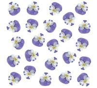 Lot de 24 fleurs séchées naturelles pressées pour résine, loisirs créatifs, pensées séchées naturelles, bijoux en époxy, véritables pétales de fleurs pour décoration de gâteaux, bougies, savon