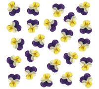 Lot de 24 fleurs séchées naturelles pressées pour résine, loisirs créatifs, pensées séchées naturelles, bijoux en époxy, véritables pétales de fleurs pour décoration de gâteaux, bougies, savon