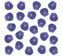 Lot de 24 fleurs séchées naturelles pressées pour résine, loisirs créatifs, pensées séchées naturelles, bijoux en époxy, véritables pétales de fleurs pour décoration de gâteaux, bougies, savon