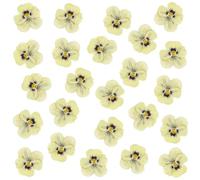 Lot de 24 fleurs séchées naturelles pressées pour résine, loisirs créatifs, pensées séchées naturelles, bijoux en époxy, véritables pétales de fleurs pour décoration de gâteaux, bougies, savon