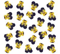 Lot de 24 fleurs séchées naturelles pressées pour résine, loisirs créatifs, pensées séchées naturelles, bijoux en époxy, véritables pétales de fleurs pour décoration de gâteaux, bougies, savon