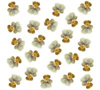 Lot de 24 fleurs séchées naturelles pressées pour résine, loisirs créatifs, pensées séchées naturelles, bijoux en époxy, véritables pétales de fleurs pour décoration de gâteaux, bougies, savon