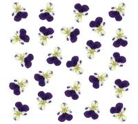 Lot de 24 fleurs séchées naturelles pressées pour résine, loisirs créatifs, pensées séchées naturelles, bijoux en époxy, véritables pétales de fleurs pour décoration de gâteaux, bougies, savon