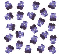 Lot de 24 fleurs séchées naturelles pressées pour résine, loisirs créatifs, pensées séchées naturelles, bijoux en époxy, véritables pétales de fleurs pour décoration de gâteaux, bougies, savon