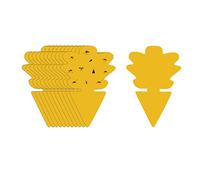 Lot de 24 pièges collants pour mouches des fruits, pièges à moucherons et insectes - Autocollant jaune pour cuisine, intérieur et extérieur - Plante succulente