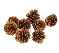 Lot de 24 pommes de pin naturelles, décorations de sapin de Noël, décorations d'automne et d'hiver, décorations de sapin de Noël, guirlandes de sapin de Noël en rotin pour remplissage de vase