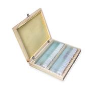 Lot de 25/50/100 lames de microscope préparées pré-faites pour l'enseignement des sciences biologiques de base avec bois pour l'enseignement des sciences de cas