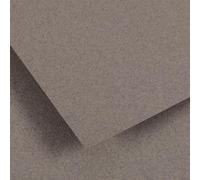 Lot de 25 Feuille Ingres Vidalon® 50x65 100g/m², coloris gris chiné 55