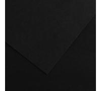 Lot de 25 Feuille Iris® Vivaldi® 50x65 240g/m², coloris noir 38