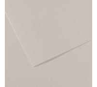 Lot de 25 Feuille Mi-Teintes® A4 160g/m², coloris gris perle 120