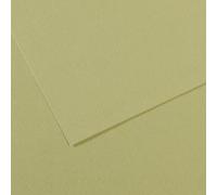 Lot de 25 Feuille Mi-Teintes® A4 160g/m², coloris vert amande 480
