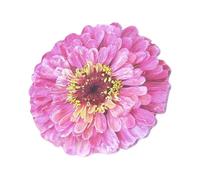 Lot de 25 feuilles de bloc-notes autocollantes amovibles Motif fleurs