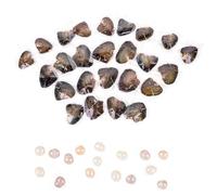 Lot de 25 perles d'huîtres naturelles d'eau douce avec véritables perles de 7 à 8 mm, emballage individuel sous vide, 7-8 mm, Perle, Perle créée