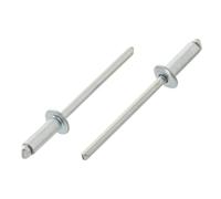 Lot de 25 rivets aveugles à tête plate 5 x 25 mm, ISO 15979, à tête plate en acier galvanisé