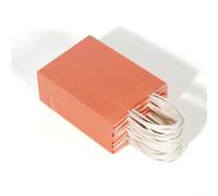 Lot de 25 sacs en papier avec poignées pour le shopping et l'artisanat, fabriqués à partir de papier recyclé conforme aux normes, pour de multiples applications (rose (21 x 11 x 27 cm)