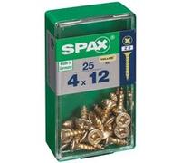 Lot de 25 vis acier t?te cylindrique bombée pozidriv SPAX, Diam.4 mm x L.12 mm