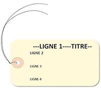 Lot de 250 Etiquettes américaines 'texte personnalisé' cartonnées 100x55 mm avec attache métallique - couleur au choix (ivoire)