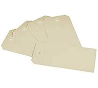 Lot de 250 étiquettes Raadhuis 60 x 120 mm chamois