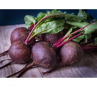 Lot de 250 Graines de Betterave Potagere Rouge de Détroit 2 - Plante Potagère Bisannuelle - Variété Précoce - Rondes au Goût Sucré, Idéal en salades crue ou cuite