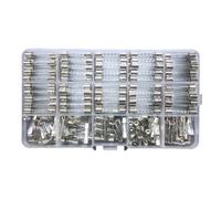 Lot de 250 tubes en verre pratiques - Fusibles lents - Tubes en verre avec boîte de rangement - Protégez vos appareils électroniques