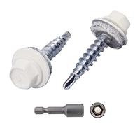 Lot de 250 vis de toiture en métal, 4,8 x 25 mm, peintes auto-perceuses avec rondelles EPDM, vis hexagonale en tôle (250, blanc pur RAL 9010)