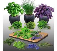 Lot de 2570 graines à semer - Le Grenier d'Abondance - Mélange Aromatique - 15 sachets individuels