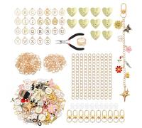 Lot de 264 porte-clés à faire soi-même, accessoires de bricolage avec 97 breloques, 10 chaînes d'extension, 10 connecteurs de port de type C, 135 anneaux ouverts, anneaux en métal et pince à bijoux