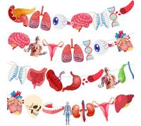 Lot de 28 bannières à suspendre sur le thème de l'anatomie - Guirlande éducative pour décorations de salle de classe, fournitures de fête scientifique, outils d'apprentissage scolaire et décoration de