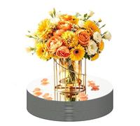 Lot de 29 miroirs ronds pour centres de table, 15,2 cm pour décoration de tables, plateaux de miroir décoratifs pour mariage, Noël, événement (15,2 cm)