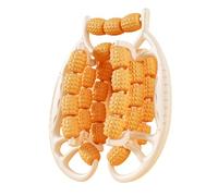 Lot de 29 rouleaux de massage professionnel pour la relaxation musculaire, outil de massage des cuisses, cadeau d'anniversaire pour les parents, machine amincissante