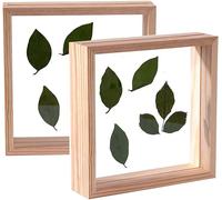 Lot De 2Pcs 6X6 Cadres Photo Double Face En Acrylique Pour Fleurs Pressées Et Feuilles Séchées