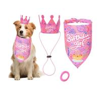 Lot de 3 Accessoires d'anniversaire pour Chien Bandana Bannière Bday et Chapeau d'anniversaire Cadeau et Décoration pour Anniversaire de Chien (Rose)